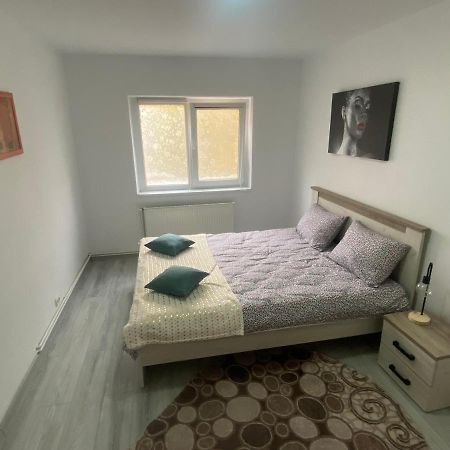 Ferienwohnung DABIC Remote&Fun Brașov Exterior foto