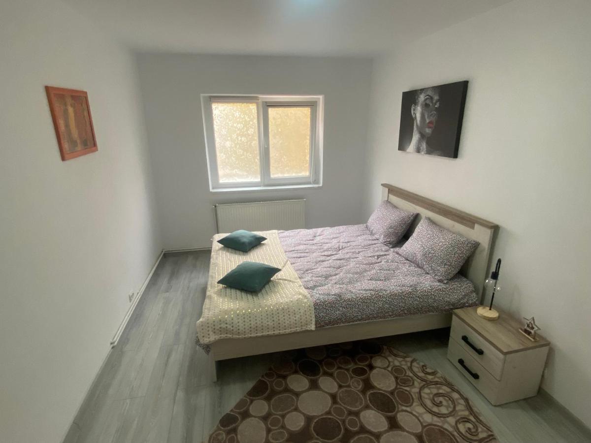 Ferienwohnung DABIC Remote&Fun Brașov Exterior foto